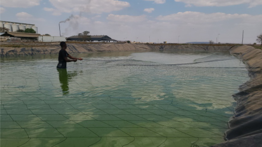 Our Objective - Kariba Fisheries Zimbabwe